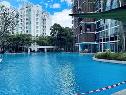 Floridian (D21), Condominium #639488101